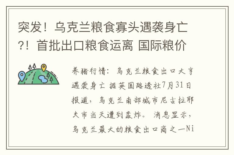 突发！乌克兰粮食寡头遇袭身亡?！首批出口粮食运离 国际粮价下跌..