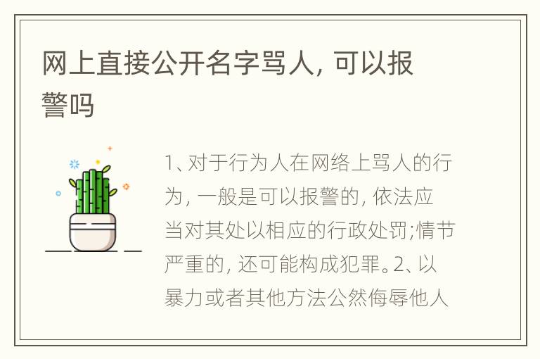 网上直接公开名字骂人，可以报警吗