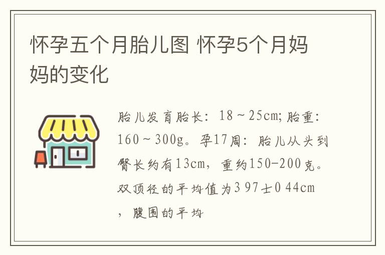 怀孕五个月胎儿图 怀孕5个月妈妈的变化