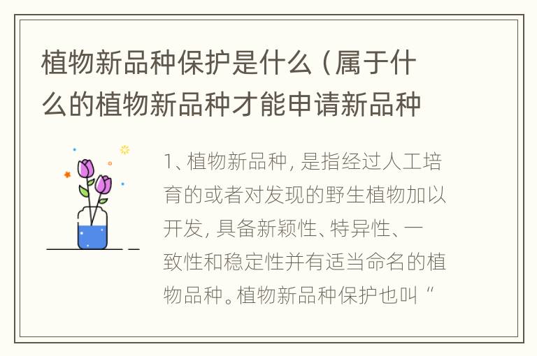 植物新品种保护是什么（属于什么的植物新品种才能申请新品种保护）