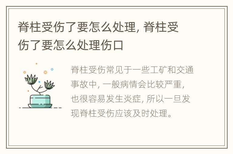 脊柱受伤了要怎么处理，脊柱受伤了要怎么处理伤口