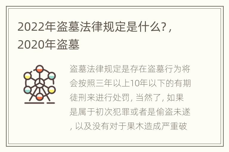2022年盗墓法律规定是什么？，2020年盗墓
