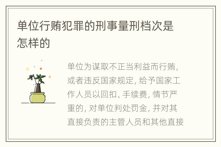 单位行贿犯罪的刑事量刑档次是怎样的