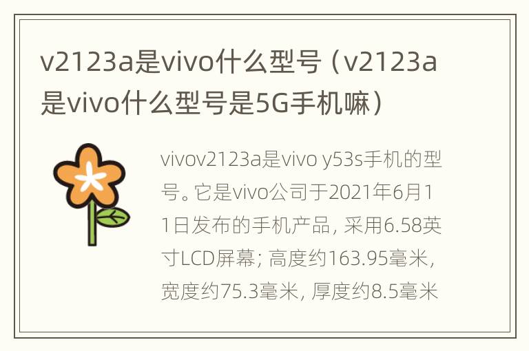 v2123a是vivo什么型号（v2123a是vivo什么型号是5G手机嘛）