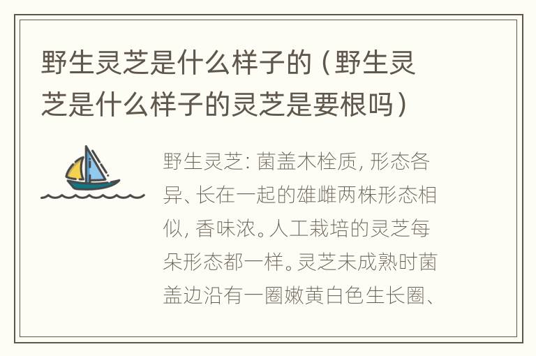 野生灵芝是什么样子的（野生灵芝是什么样子的灵芝是要根吗）