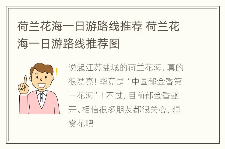 荷兰花海一日游路线推荐 荷兰花海一日游路线推荐图