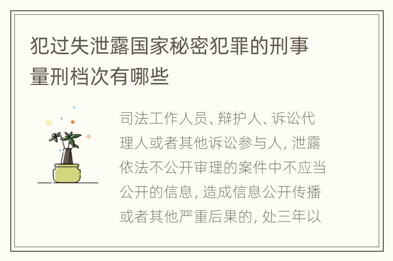犯过失泄露国家秘密犯罪的刑事量刑档次有哪些