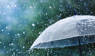 下雨天怎么走路不甩泥 如何在下雨天走路不甩泥
