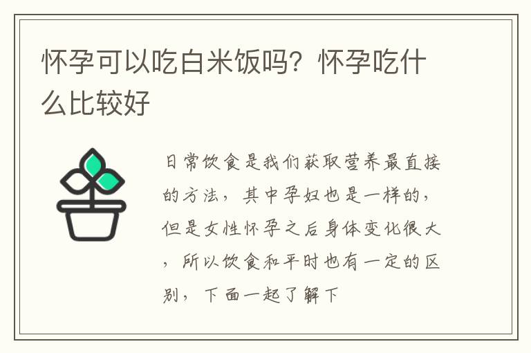 怀孕可以吃白米饭吗？怀孕吃什么比较好