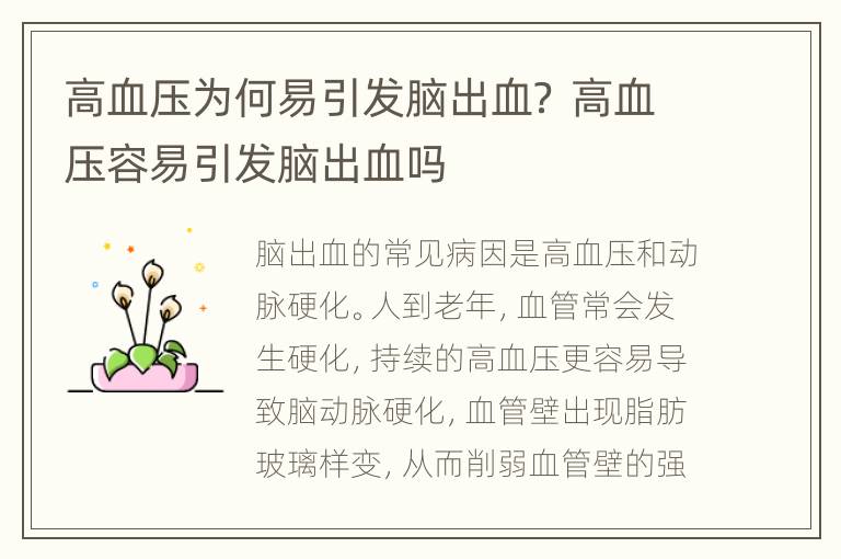 高血压为何易引发脑出血？ 高血压容易引发脑出血吗