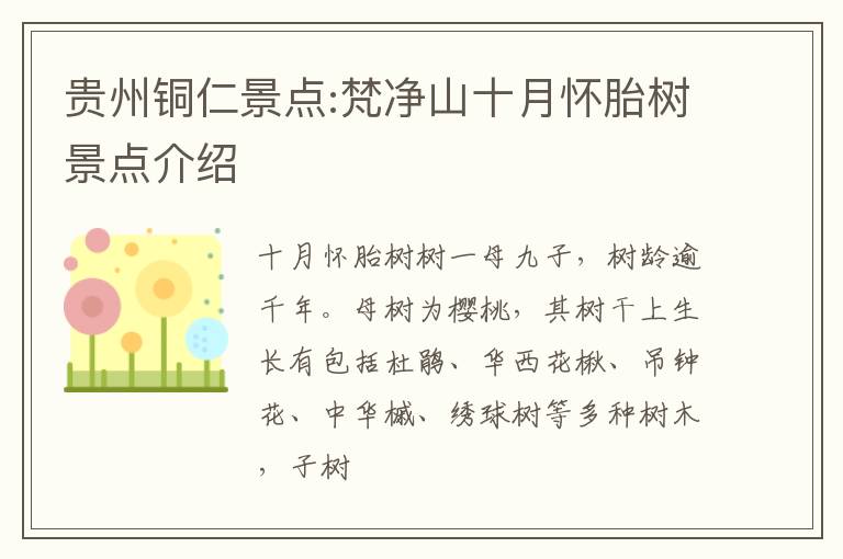 贵州铜仁景点:梵净山十月怀胎树景点介绍