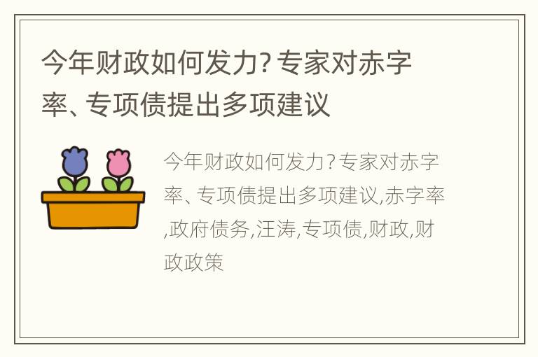 今年财政如何发力？专家对赤字率、专项债提出多项建议