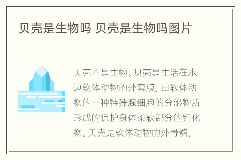 贝壳是生物吗 贝壳是生物吗图片