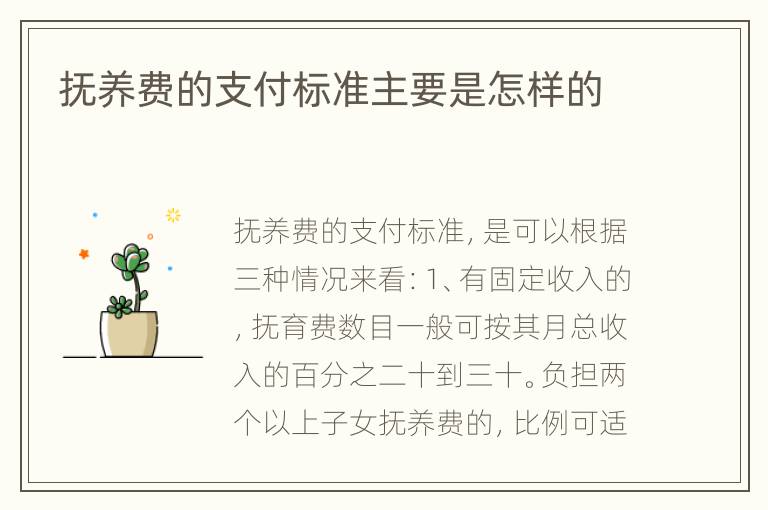 抚养费的支付标准主要是怎样的