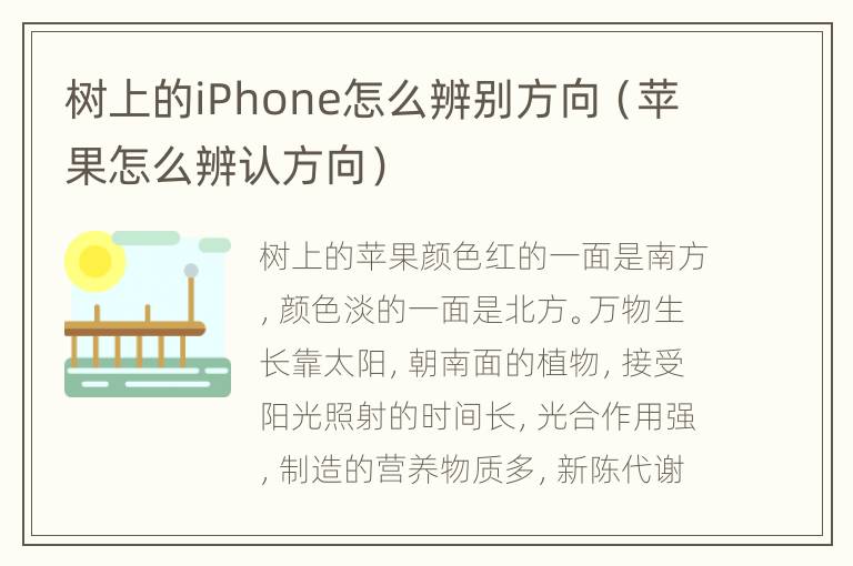 树上的iPhone怎么辨别方向（苹果怎么辨认方向）