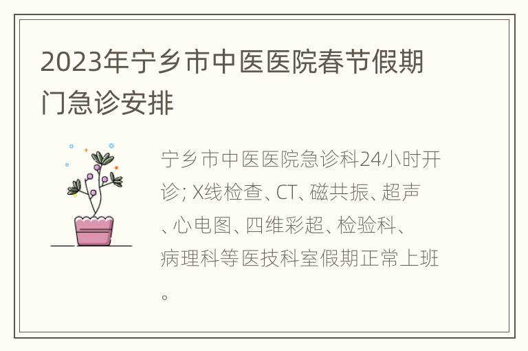 2023年宁乡市中医医院春节假期门急诊安排