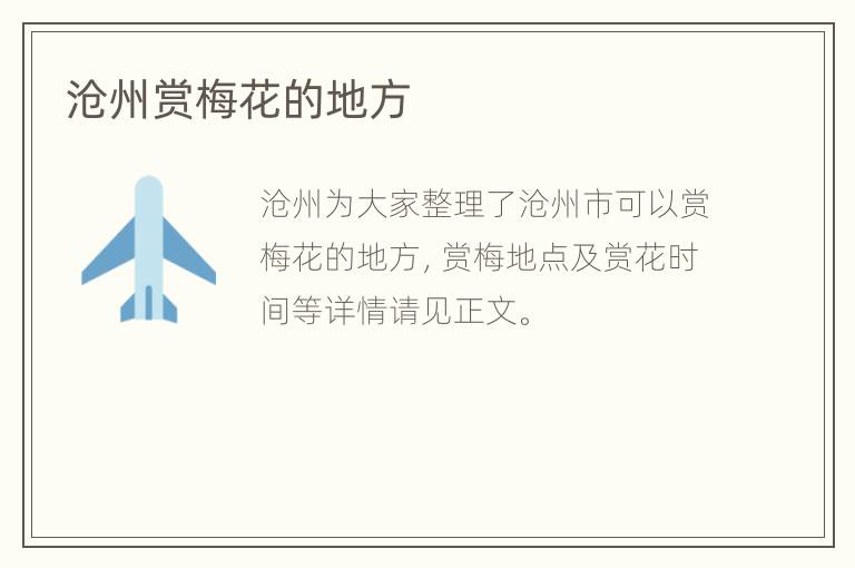 沧州赏梅花的地方