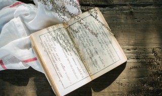 翩若惊鸿婉若游龙什么意思 翩若惊鸿婉若游龙的意思