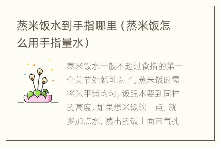 蒸米饭水到手指哪里（蒸米饭怎么用手指量水）
