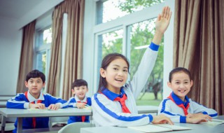 2021是辛丑年还是丁丑年 农历年的简介