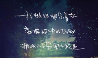 表达想念女朋友的文案 想念女朋友的温馨话语分享