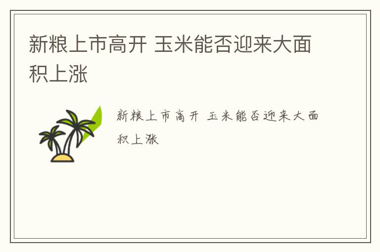 新粮上市高开 玉米能否迎来大面积上涨