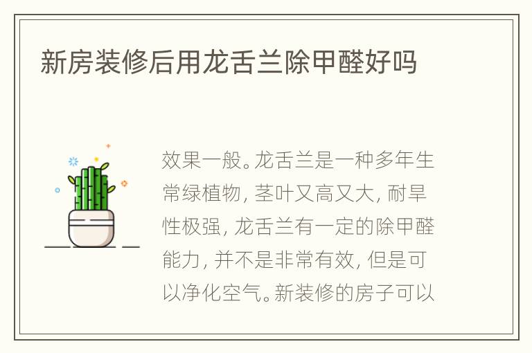 新房装修后用龙舌兰除甲醛好吗