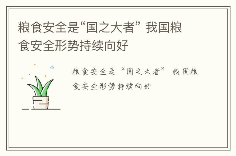 粮食安全是“国之大者” 我国粮食安全形势持续向好