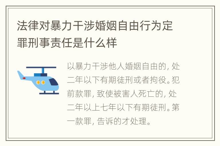 法律对暴力干涉婚姻自由行为定罪刑事责任是什么样