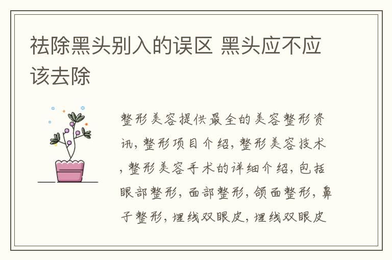 祛除黑头别入的误区 黑头应不应该去除