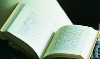 鸟说文言文翻译 鸟说文言文怎么翻译