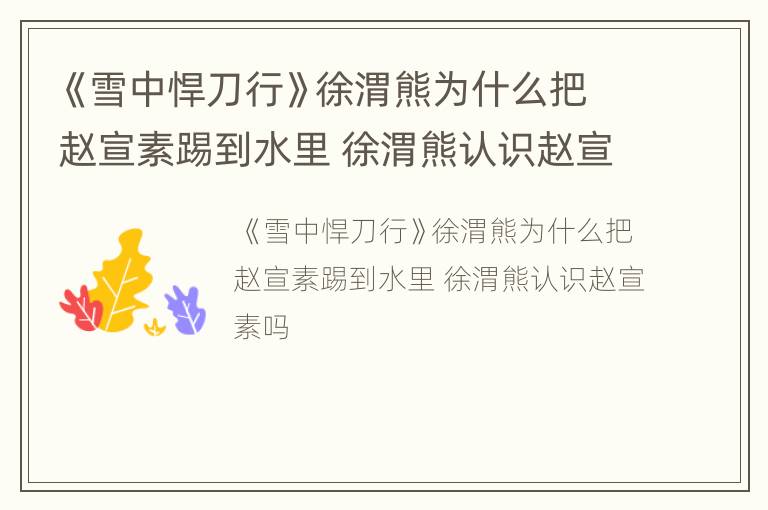 《雪中悍刀行》徐渭熊为什么把赵宣素踢到水里 徐渭熊认识赵宣素吗