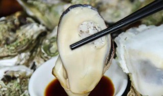 天天吃生蚝对身体好吗 天天吃生蚝对身体好不好