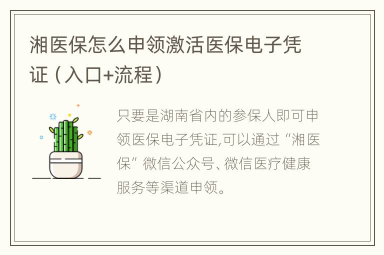 湘医保怎么申领激活医保电子凭证（入口+流程）