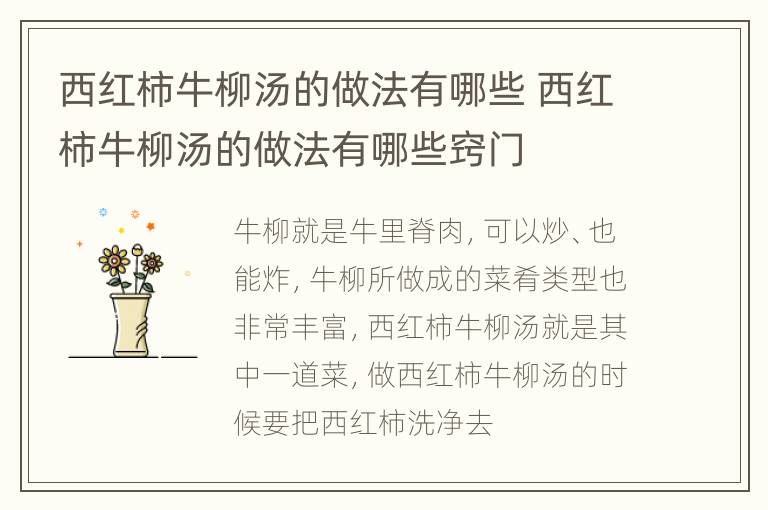 西红柿牛柳汤的做法有哪些 西红柿牛柳汤的做法有哪些窍门
