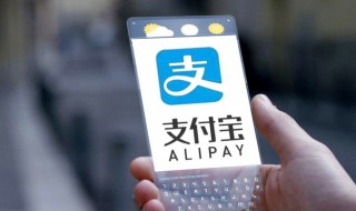 支付宝小鸡怎么打别人鸡 如何在支付宝打别人的小鸡