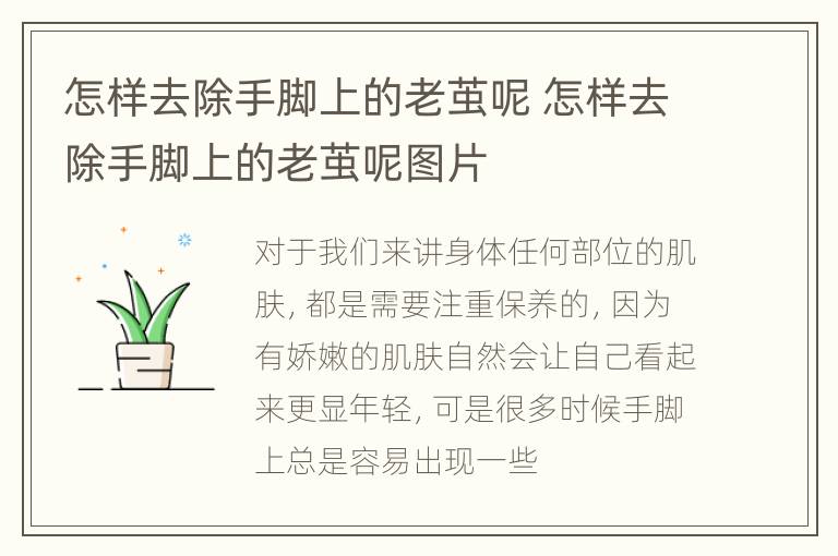 怎样去除手脚上的老茧呢 怎样去除手脚上的老茧呢图片