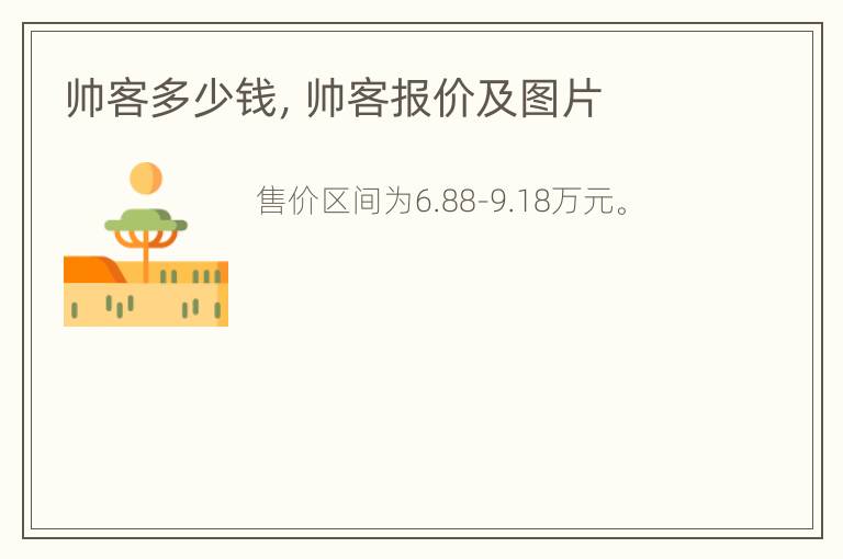 帅客多少钱，帅客报价及图片