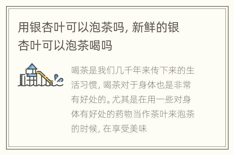 用银杏叶可以泡茶吗，新鲜的银杏叶可以泡茶喝吗