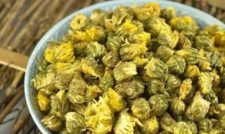 胎菊的功效与作用及禁忌 胎菊的功效与作用及禁忌有哪些
