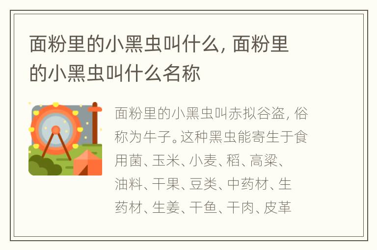 面粉里的小黑虫叫什么，面粉里的小黑虫叫什么名称