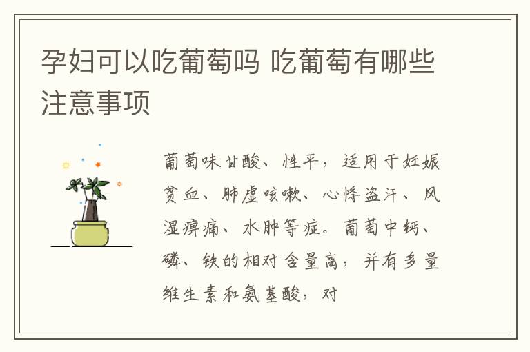 孕妇可以吃葡萄吗 吃葡萄有哪些注意事项