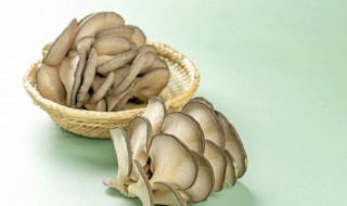 平菇干直接煮汤煮多久能吃（平菇放汤里煮多久熟）
