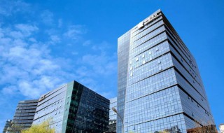 子公司和分公司的区别是什么 子公司和分公司的区别介绍