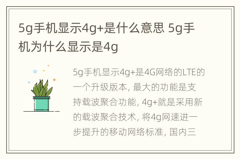 5g手机显示4g+是什么意思 5g手机为什么显示是4g