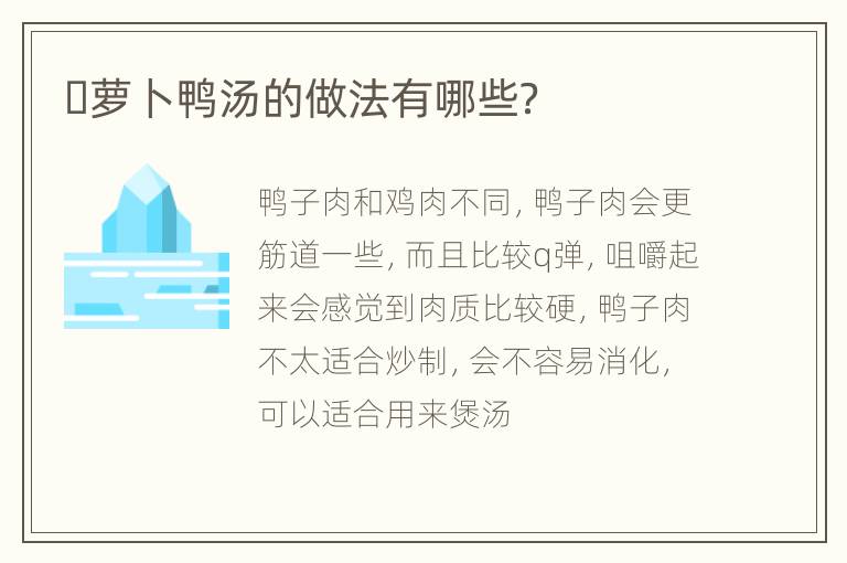 ​萝卜鸭汤的做法有哪些？