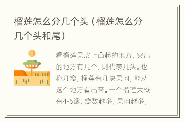榴莲怎么分几个头（榴莲怎么分几个头和尾）