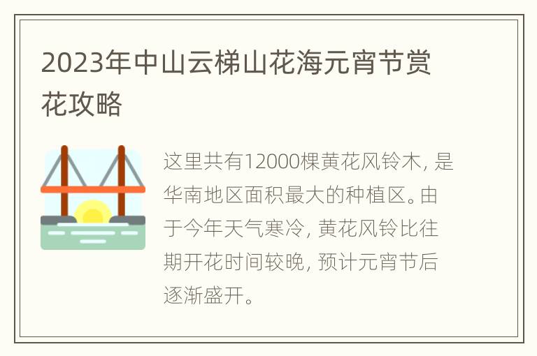 2023年中山云梯山花海元宵节赏花攻略
