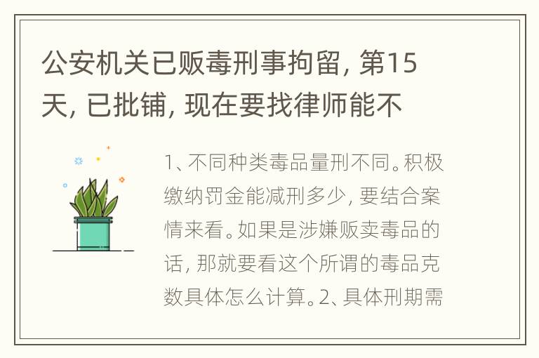 公安机关已贩毒刑事拘留，第15天，已批铺，现在要找律师能不能打无罪释放