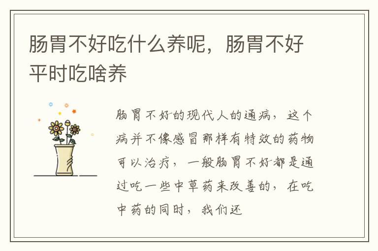 肠胃不好吃什么养呢，肠胃不好平时吃啥养